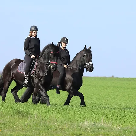 Koch Schilt Szálloda 3*