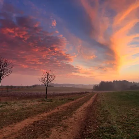 Hotell Koch Schilt 3*