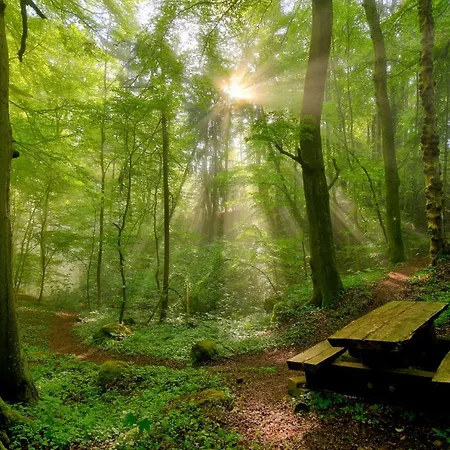 Koch Schilt Szálloda 3*