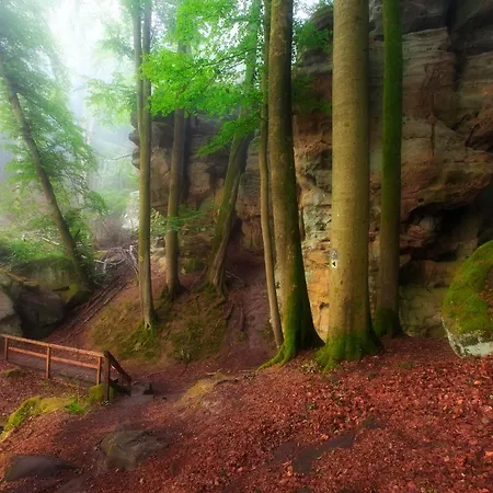 Koch Schilt Szálloda 3*