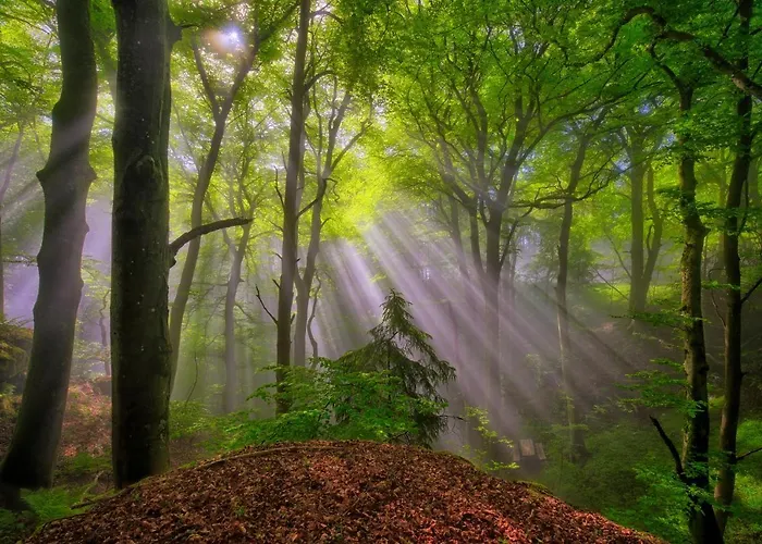 Koch Schilt 3* Irrel