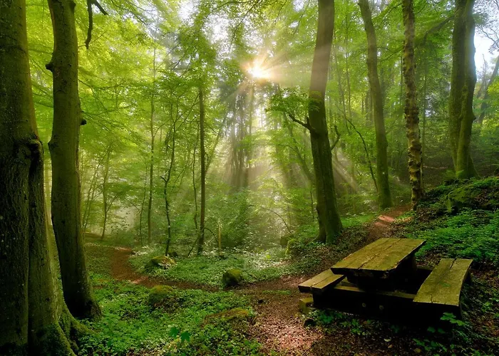 Koch Schilt Отель 3*