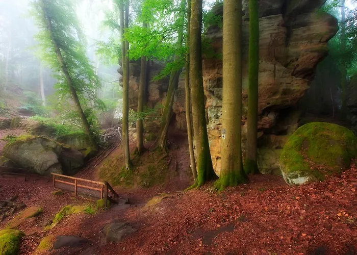 Koch Schilt Hotel 3*